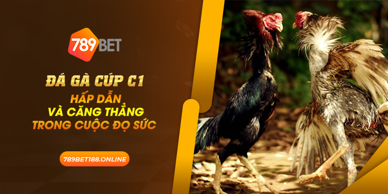 38 da ga cup c1 hap dan va cang thang trong cuoc do suc