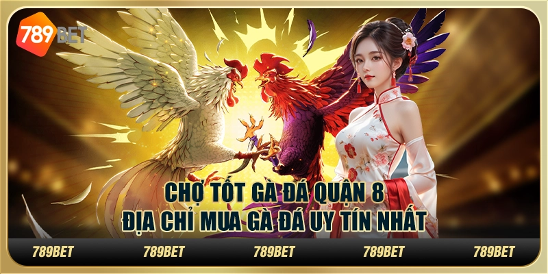 Chợ Tốt Gà Đá Quận 8: Địa chỉ mua gà đá uy tín nhất