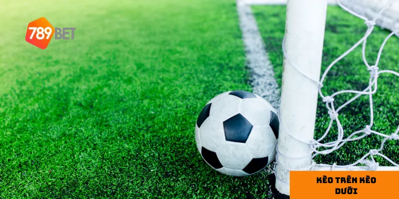 Cùng 789bet khám phá sức mạnh của kèo trên kèo dưới 3 Mẹo chơi kèo trên kèo dưới hiệu quả