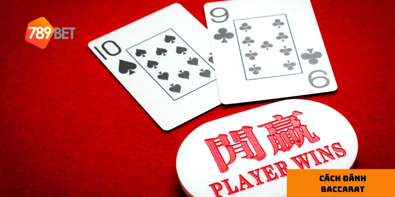 Cách đánh baccarat hiệu quả cho người mới bắt đầu dễ thắng 3 Quản lý vốn là yếu tố then chốt giúp bạn chơi Baccarat hiệu quả và bền vững.
