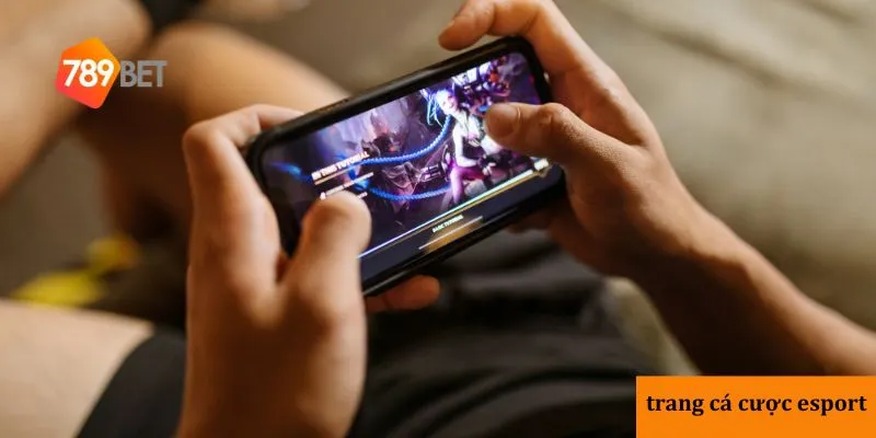 Trang cá cược eSports uy tín với đa dạng kèo và tỷ lệ cao nhất 3 3 trang cá cược eSports uy tín nhất