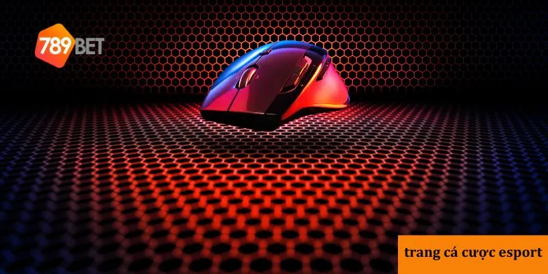 Trang cá cược eSports uy tín với đa dạng kèo và tỷ lệ cao nhất 4 Hướng dẫn tham gia cá cược eSports hiệu quả