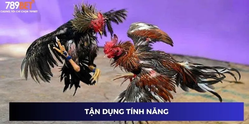 Đá Gà Chiến Thuật: Bí Mật Cao Thủ Khiến Bạn Luôn Dẫn Đầu 3 Tận dụng tính năng