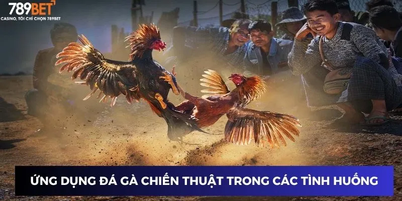 Đá Gà Chiến Thuật: Bí Mật Cao Thủ Khiến Bạn Luôn Dẫn Đầu 4 Ứng dụng đá gà chiến thuật trong các tình huống cụ thể