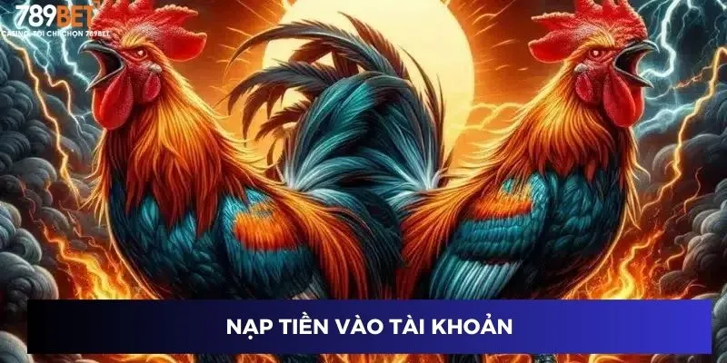 Đá Gà Thần Tốc Online – Cược Thắng Lớn Mỗi Ván Tại 789BET 2 Nạp tiền vào tài khoản