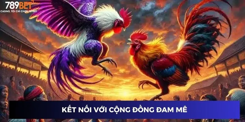 Đá Gà Thần Tốc Online – Cược Thắng Lớn Mỗi Ván Tại 789BET 3 Kết nối với cộng đồng đam mê