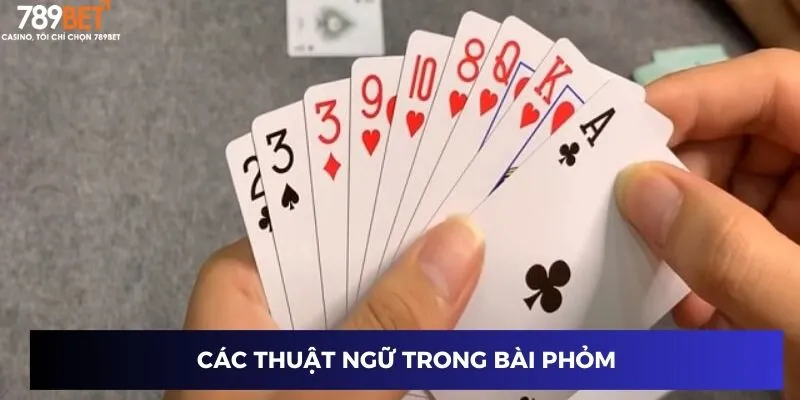 Đánh Bài Phỏm Online – Thắng Lớn Nhờ Chiến Thuật Tại 789BET 2 Các thuật ngữ trong bài phỏm
