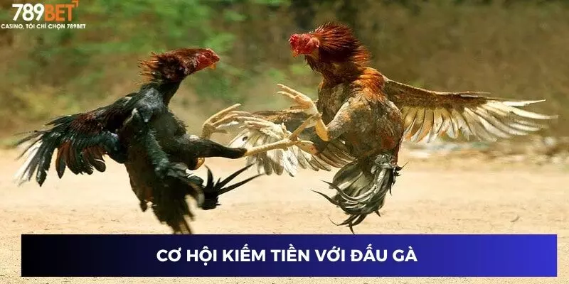 Đấu gà siêu chiến: Cược dễ thắng với các trận đấu mãn nhãn 3 Cơ hội kiếm tiền với đấu gà