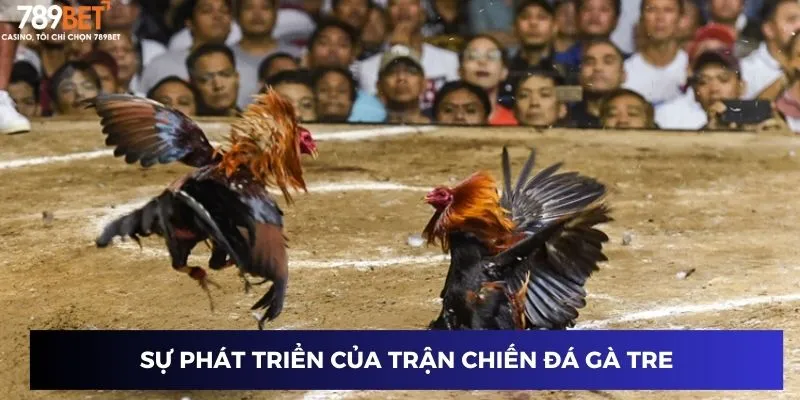 Trận Chiến Gà Tre – Đưa Chiến Lược Cược Của Bạn Lên Tầm Cao 2 Sự phát triển của trận chiến đá gà tre