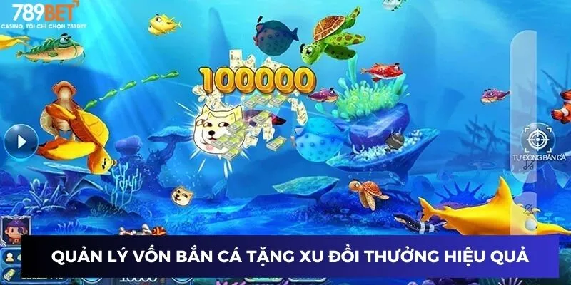Bắn Cá Tặng Xu Đổi Thưởng - Trò Chơi Hot, Thắng Liền Tay! 4 Quản lý vốn bắn cá tặng xu đổi thưởng hiệu quả