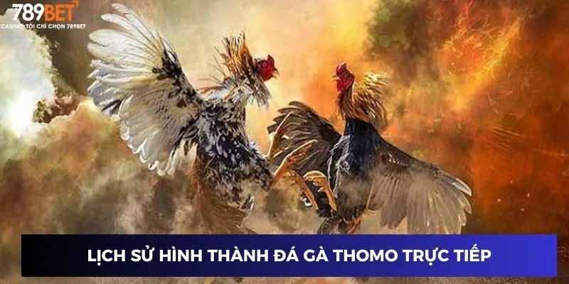 Đá Gà Thomo Trực Tiếp - Sân Chơi Đỉnh Cao Năm 2025 2 Lịch sử hình thành đá gà thomo trực tiếp