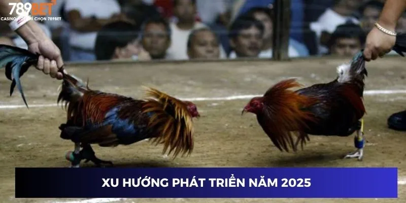 Đá Gà Thomo Trực Tiếp - Sân Chơi Đỉnh Cao Năm 2025 3 Xu hướng phát triển năm 2025