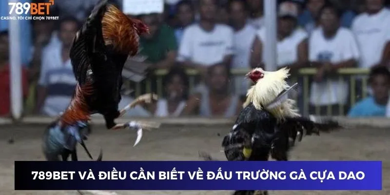 Đấu Trường Gà Cựa Dao - Chiến Lược Thắng Lớn Tại 789BET 2 789BET và những điều cần biết về Đấu trường gà Cựa Dao