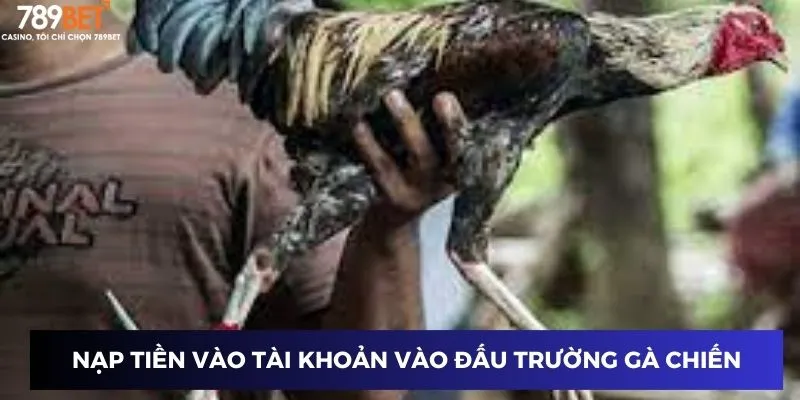 Đấu Trường Gà Cựa Dao - Chiến Lược Thắng Lớn Tại 789BET 3 Nạp tiền vào tài khoản tham gia vào đấu trường gà chiến
