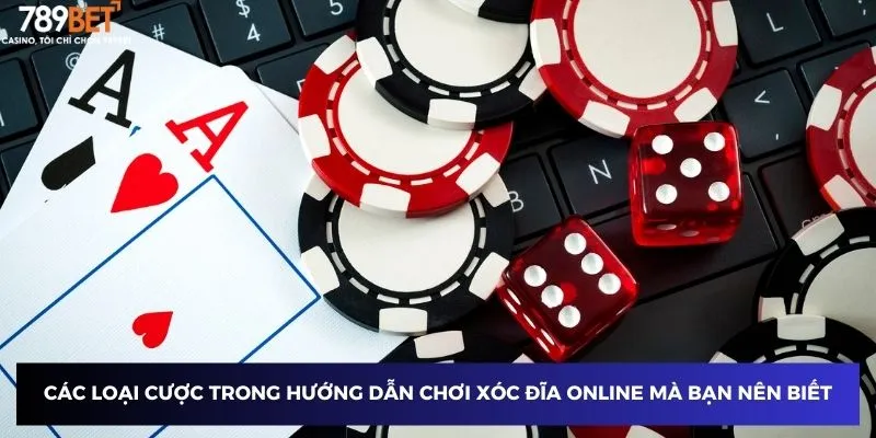 Hướng Dẫn Chơi Xóc Đĩa Online - Đạt Thành Công Với Cách Chơi Chuẩn 4 Các loại cược trong hướng dẫn chơi xóc đĩa online mà bạn nên biết