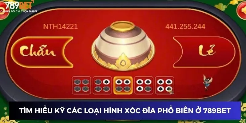 Phương Pháp Chơi Xóc Đĩa Online - Chiến Thắng Mọi Ván 4 Tìm hiểu kỹ các loại hình xóc đĩa phổ biến ở 789BET