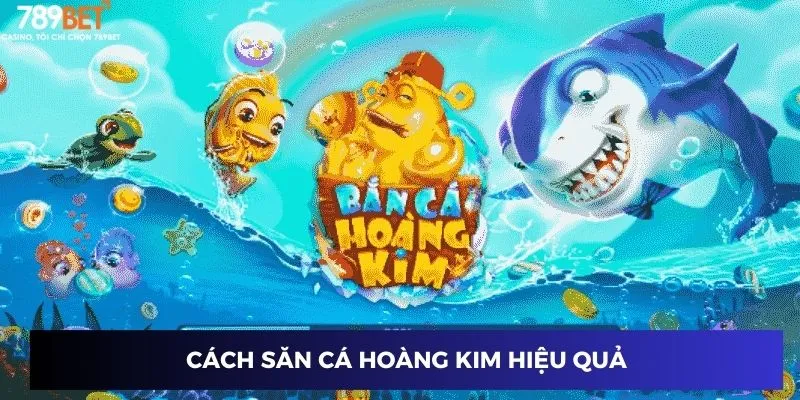 Săn Cá Hoàng Kim - Làm Chủ Đại Dương, Rinh Thưởng Vàng Ròng 3 Cách săn cá hoàng kim hiệu quả