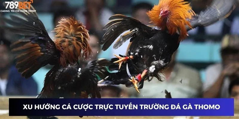 Trường Gà Thomo - Hấp Dẫn Từng Giây, Thắng Lớn Mỗi Ngày 4 Xu hướng cá cược trực tuyến trường đá gà Thomo